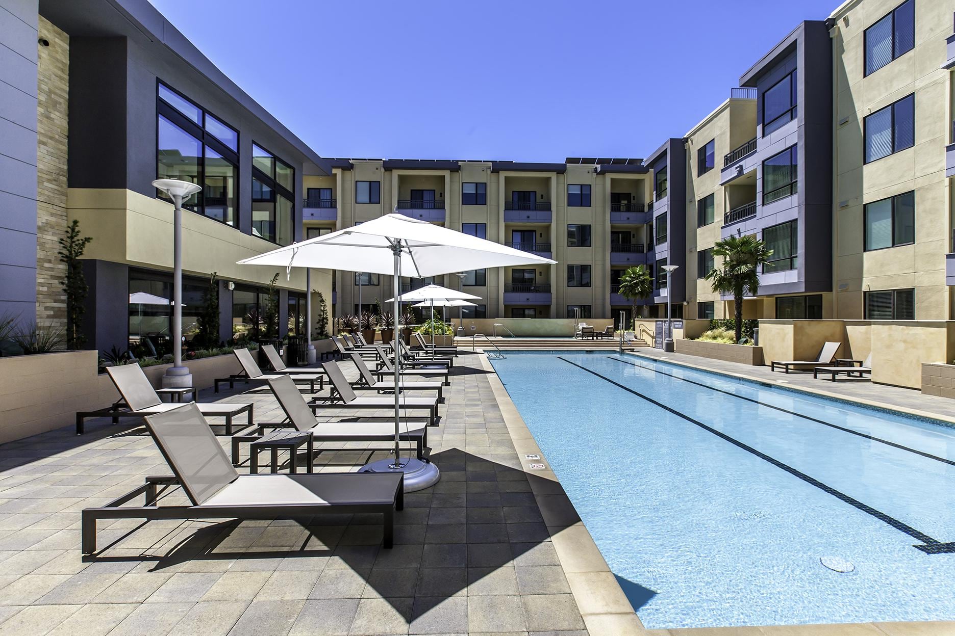 Apartments in Foster City-One Hundred Grand Swimming Pool Surrounded by Shaded Seating and Lounge Chairs